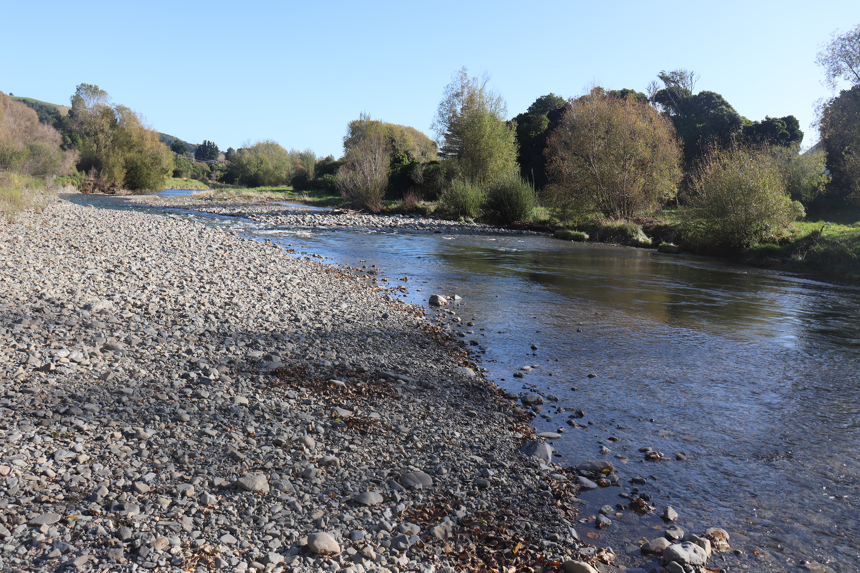 Wellington Rivers Greater Wellington Regional Council wants to undertake Waikanae River ...